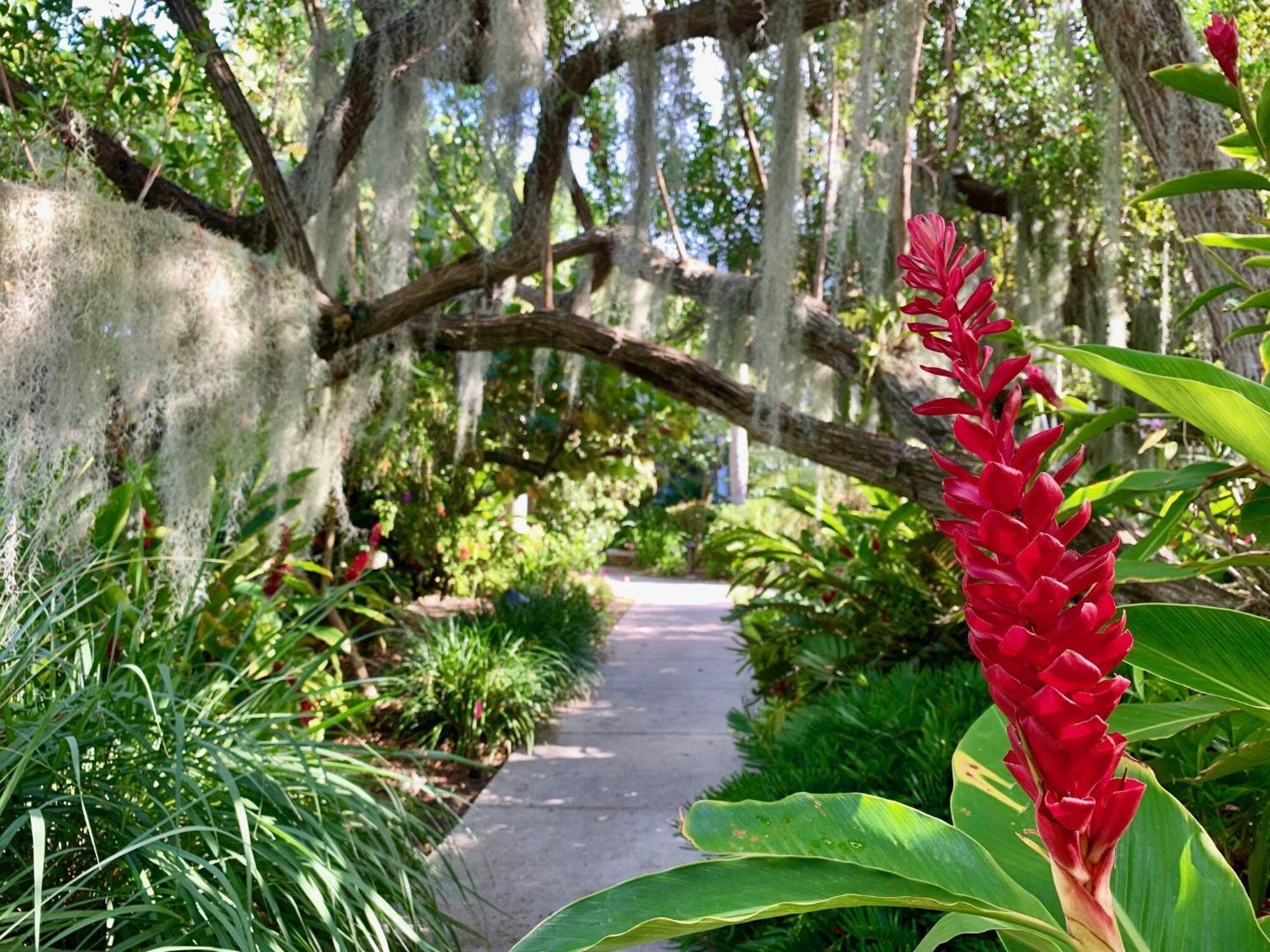 Beautifully Renovated Summer Of 2020 Come And Enjoy This Lovely Unit Key West Exteriör bild